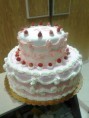 /album/torte-classiche/classiche009-jpg/