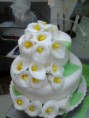 /album/torte/a995848-10200539061118682-1441371001-n-jpg/